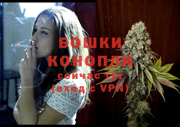 стаф Тавда