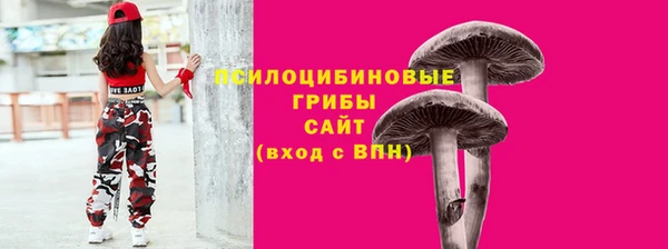 винт Касимов