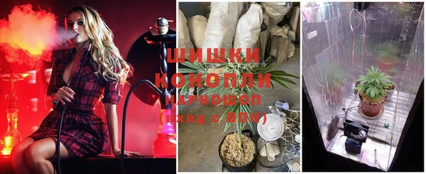 винт Касимов