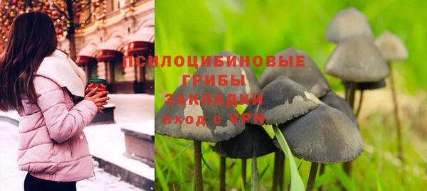 винт Касимов