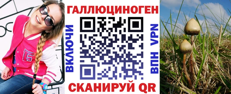 Псилоцибиновые грибы мицелий  Барнаул 